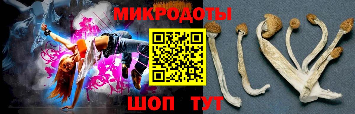 Гай  Галлюциногенные грибы мухоморы  Вход с VPN  Галлюциногенные грибы мухоморы 