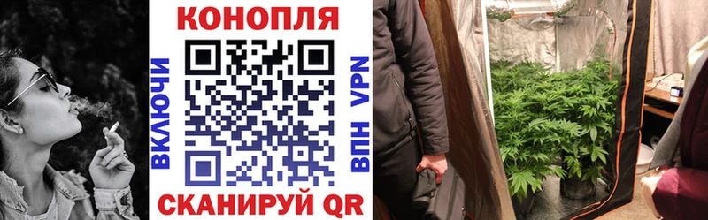 Марихуана план  закладка  дарк нет какой сайт  Гай 